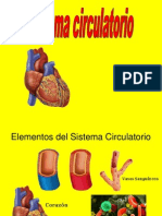 Sistema Circulatorio y Respiratorio