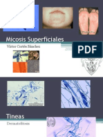 2-micosissuperficiales-120814235657-phpapp01