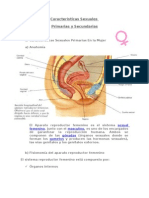 El Aparato Reproductor Femenino Es El Sistema Sexual Femenino