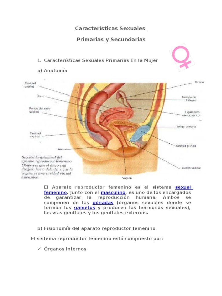 El aparato reproductor femenino es el sistema sexual