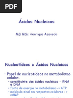 Revisao acidos nucleicos