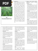 Download lahan bawah tegakan by adhito SN143678831 doc pdf