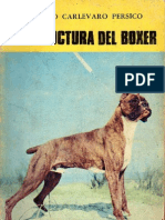 La Estructura Del Boxer