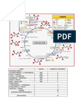 Siklus Kreb1 2