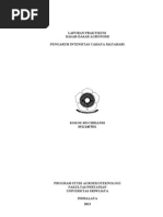 Download Pengaruh Intensitas Cahaya Matahari by Iin Monika SN143717441 doc pdf