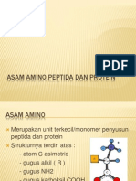 2 - Asam Amino, Peptida & Protein