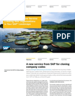 Creating New Organizations in Your SAP Landscape (en)