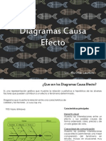 Diagrama Causa Efecto