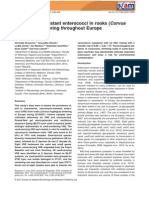 Vancomycin-resistant enterococci