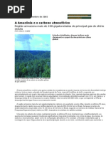 A Amazônia e o carbono atmosférico