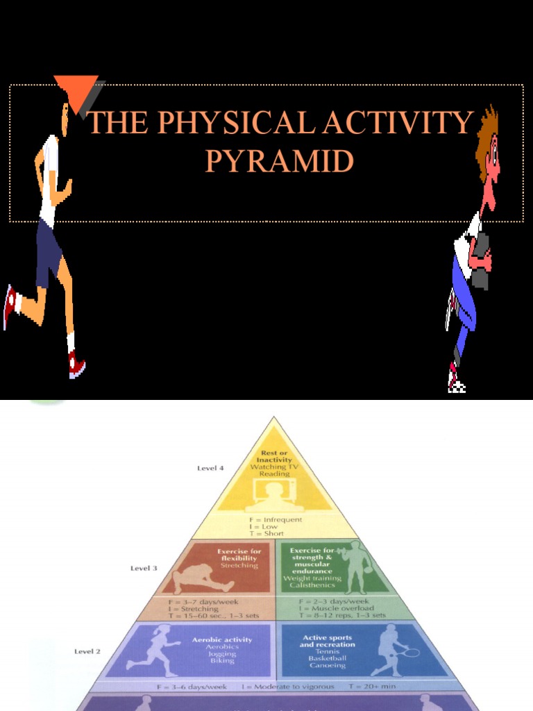 Physical Activity Pyramid Guide | PDF | Aerobic Exercise | Physical ...