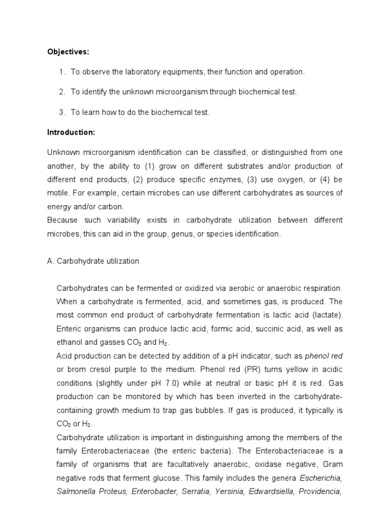 Laboratory report microbes in the environment exercise 3 image