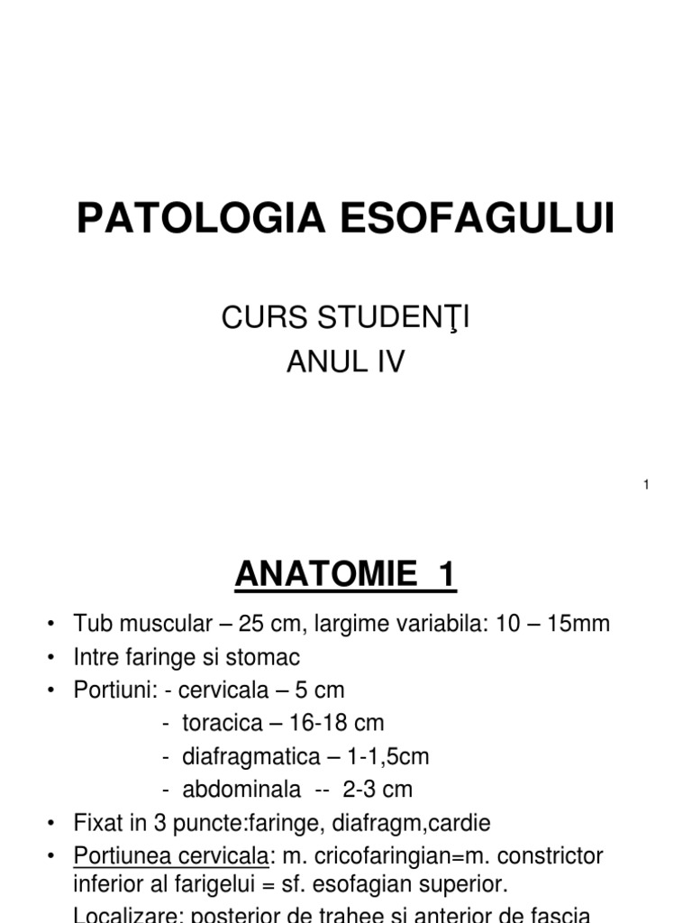 25+26 Esofag | PDF