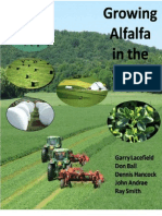 Alfalfa in The South