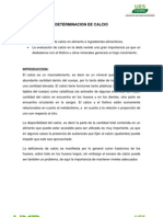 Determinación de Calcio en Alimentos: Análisis Rápido en  Caracteres