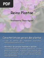 Reino Plantae