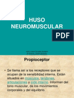 31007942 Huso Neuromuscular