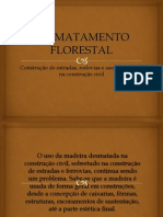 Desmatamento Florestal