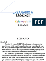 Skeanario A Blok 17