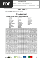 Sopa de LetrasecossistemasFichatrab7ano