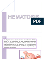 Hematosis