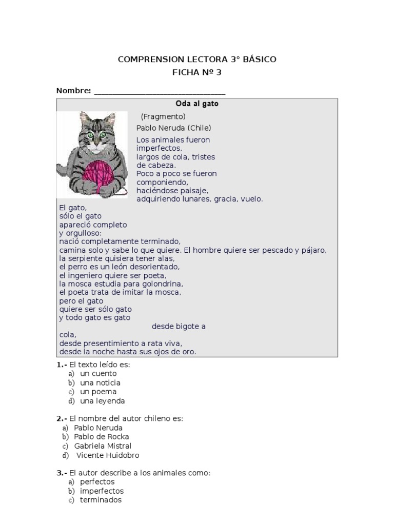Comprension Lectora 3 | PDF