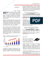 Reporte de Alterna Peru - La Conectividad en El Perú 2009