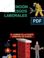 Capítulo II - Prevención de Riesgos Laborales