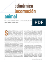 Locomocion Animal