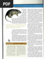 A Dura Vida Dos Navegantes 3