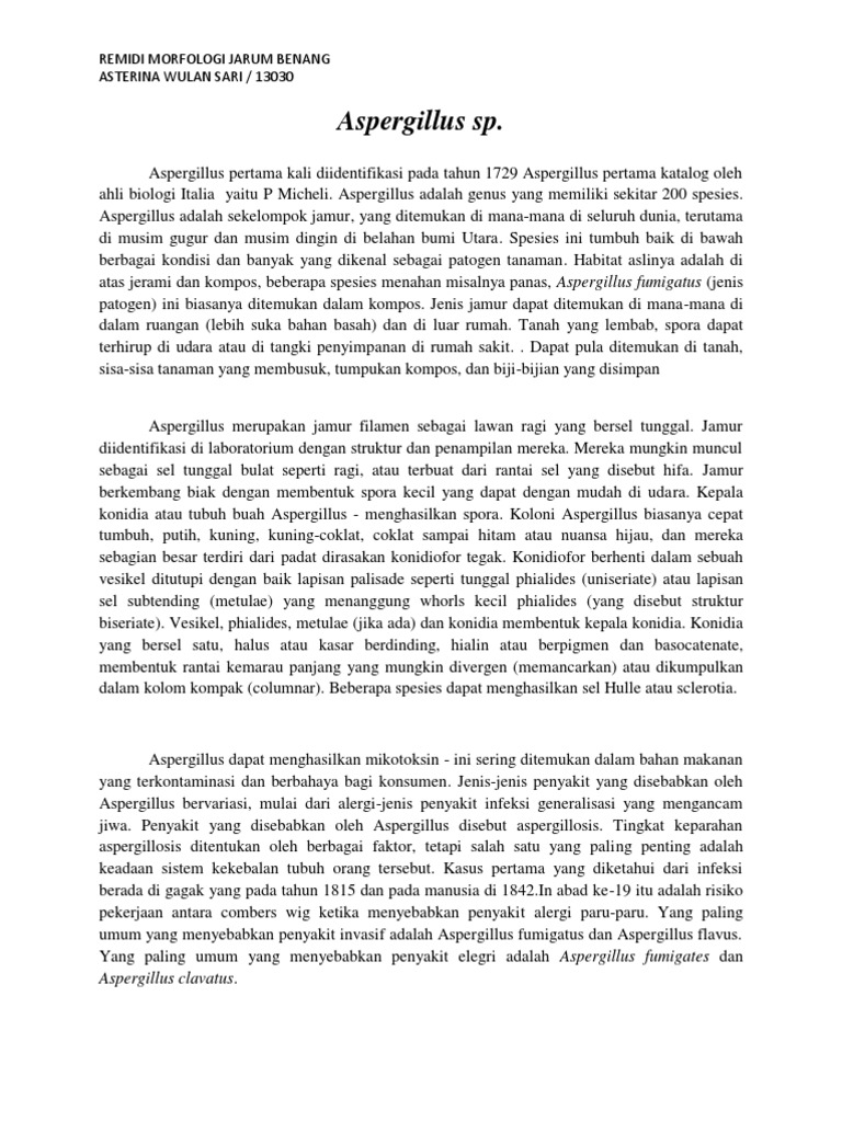 Essay on aspergillosis picture