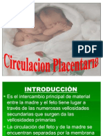Circulacion Placentaria