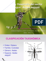 Mercedes Biologia y Desarrollo Aedes 25.03.13