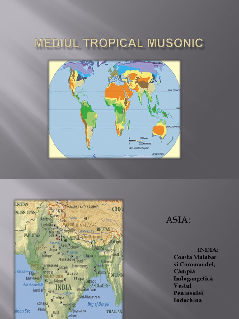 Mediul Tropical Musonic | PDF