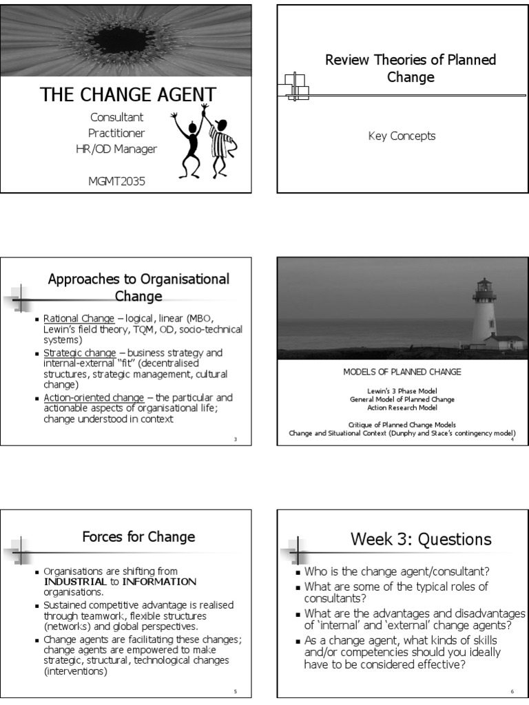 Change Agent Week 3 PDF Strategic Management Competence (Human