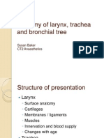 Anatomy of Larynx, Trachea and Bronchial Tree: Susan Baker CT2 Anaesthetics