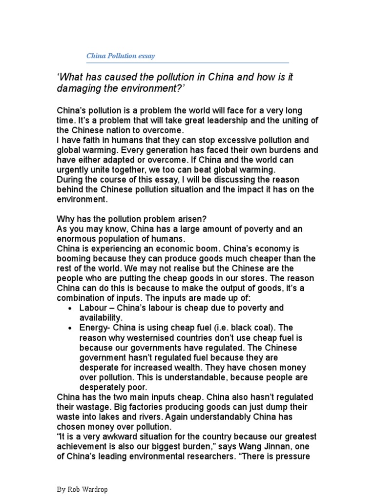 China political system essay image