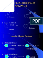 Pengarah Ortho Meta para