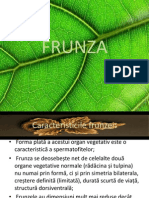 FRUNZA PP