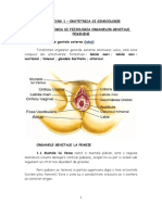 Anatomia Si Fiziologia Organelor Genitale Feminine 1