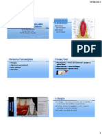 PDF Biologia Estrutural Do Periodonto
