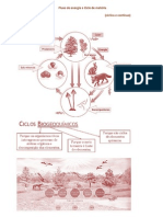 Fluxo de energia e Ciclo de matéria