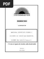 TRABAJO INV PENAL.docx