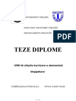 Teme Diplome