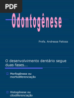 Odontogenese atualizada textos