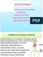 El Sistema Nervioso Central