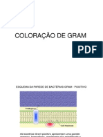 Coloração de Gram