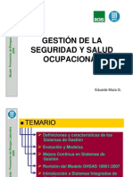 Gestión de La Salud y La Seguridad Ocupacional