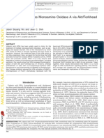 Valproic Acid Induces Monoamine Oxidase A Via Akt Forkhead Box O1 Activation