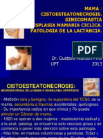 Cistoesteatonecrosis y ginecomastia: patologías mamarias